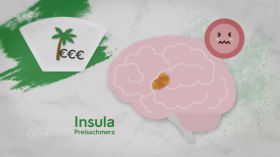 Wie wirkt Werbung auf unser Gehirn? by Erklärvideos und Bildungsfernsehen