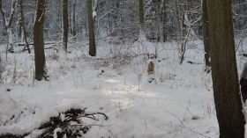 Winter by Heide-Wendland-Filmklappe